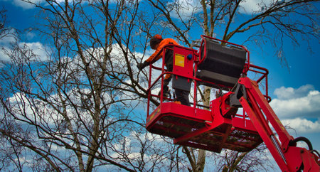 Unidentified pruner in red cherry picker cutting top of tree with chainsaw with blue skyの写真素材