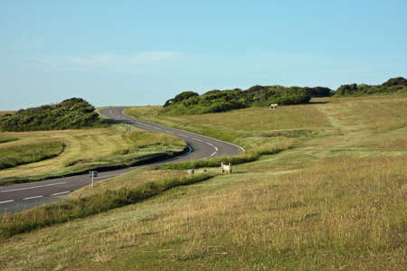 Zig-zag road in countrysideの写真素材