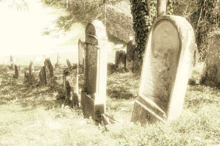 Jewish cemetery in Skalica, Slovakiaの写真素材