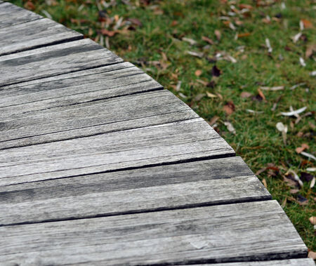 Wood Textureの写真素材