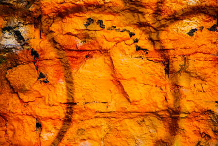 Colorful graffiti wallの写真素材