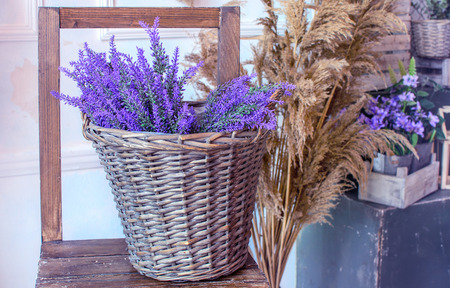 lavender in a basketの写真素材