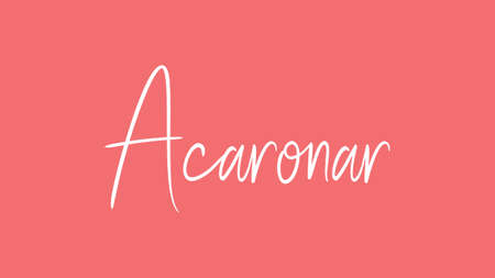 Acaronar, Calligraphy signature font, girly pinky background, Quote Conceptの写真素材