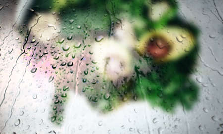 Background with rain drops close up. Rain drops on outdoor window, Closeup view transparent water drops on glass surface, humid water backdrop, blurred background with copy space for your textの写真素材
