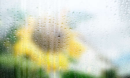 Water drops on window glass with sunflowers background, closeup viewの写真素材