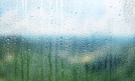 Rain drops on the window, close-up. Natural background.