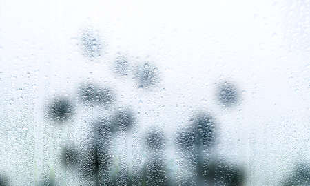 Rain drops on the window, blurred background. Raindrops on the window.
