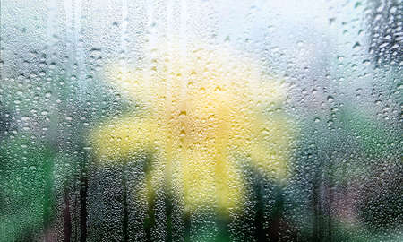 Drops of rain on window glass, blurred background. Rainy weather.