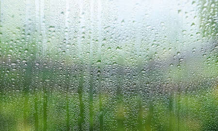 Rain drops on window glass. Raindrops on window glass. Rain drops on window.