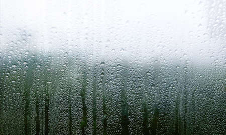 Water drops on the window. Raindrops on the window. Natural background.の写真素材