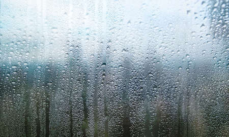 Water drops on the window. Rain drops on the window. Water drops on the glass.