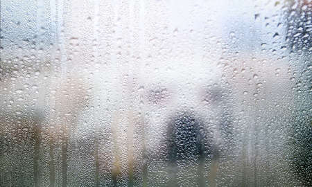 Condensation on the window. Rain drops on a window glass.