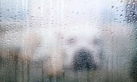 Condensation on the window. Rain drops on the glass. Close-up.