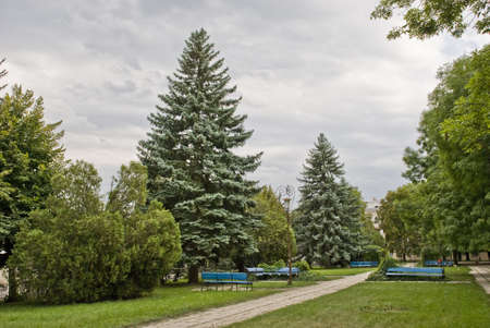 trees growing in the Botanical Gardenの写真素材