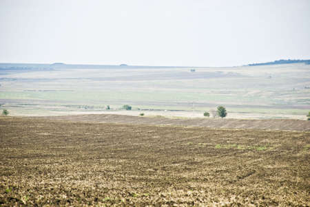 autumn fields after harvestの写真素材