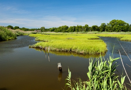 Natural wetlands