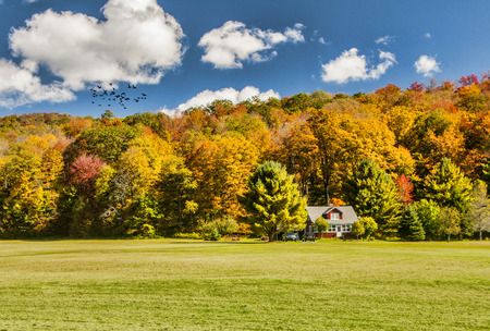 A home tucked into the trees on the side of a mountain during autumnのeditorial素材