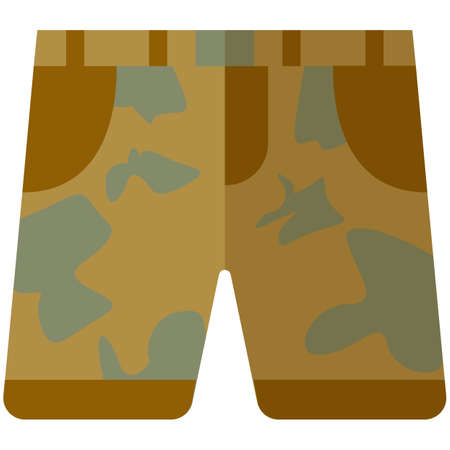 Vector icon of shorts for men or women in a flat style without an outline.のイラスト素材