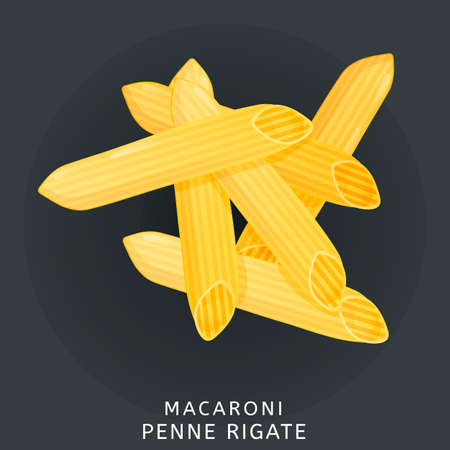 Traditional Italian kitchen. Macaroni penne rigatte, pasta. Icon isolated on dark background. Vector illustration.のイラスト素材