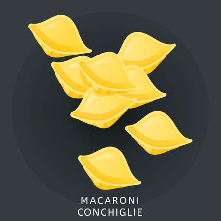 Traditional italian kitchen. Conchiglie pasta. Flour wheat product. Icon isolated on dark background. Vector illustrationのイラスト素材