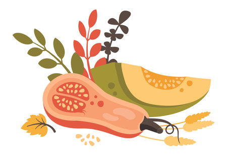 Half Pumpkin pieces and sliced with fall leaves, wheat. Ripe harvest vegetable. Healthy food. Vector illustration for autumn design, good nutrition, agricultural harvest, Thanksgivingのイラスト素材