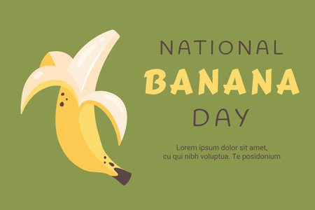 National banana day. Ripe fresh banana in peel. Banana baner. Sweet tropical exotic fruit. Healthy vegetarian organic food. Vector illustration for background, event, holiday, healthy lifestyleのイラスト素材