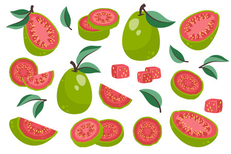 Set of  guava isolated on white background. Fresh exotic fruits in peel, cut into circles, small cubes and slices. Healthy nutrition. Sweet tropical organic food. Vector illustrationのイラスト素材