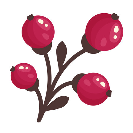 Fresh red currant isolated on white background. Fruit sticker. Currant top view. Whole Juicy berries close up. Organic food. Vector illustration for healthy lifestyle, good nutritionのイラスト素材