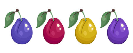 Set of plums with leaves isolated on white background. Plum icon. Color plums close up. Fruits stickers. Sweet healthy vitamin. Vector illustration for packaging, print, organic food, clipartのイラスト素材