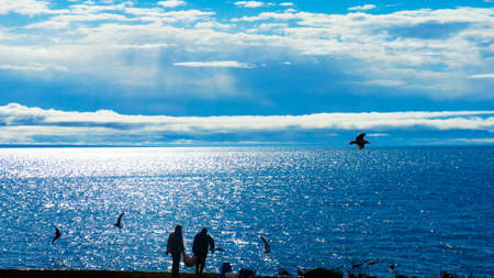 Fishermen carry from the boat catch of fish from the ocean in a summer bagの写真素材