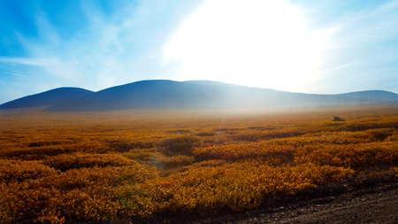 Journey through the fragrant tundra in the fall at dawn haze and blue skyの写真素材