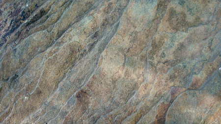 Abstract texture of gray brown large relief stone of the background