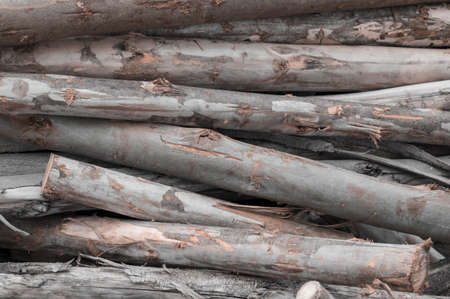Pile of wood logs