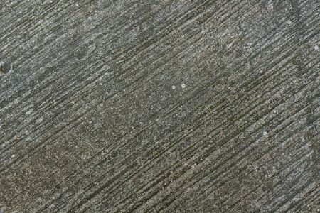 Concrete floor, cement floor, texture floor, pattern floor, green lichen on floor