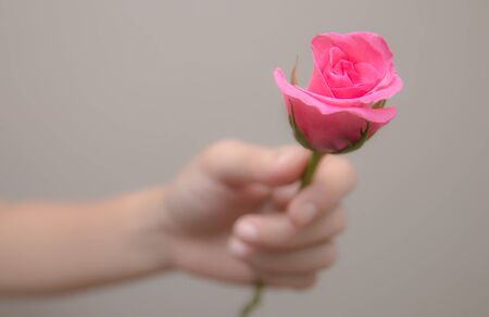 Giving rose to a man in Valentine's dayの写真素材