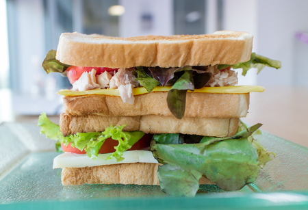 Fresh homemade tuna sandwich on glass plateの写真素材