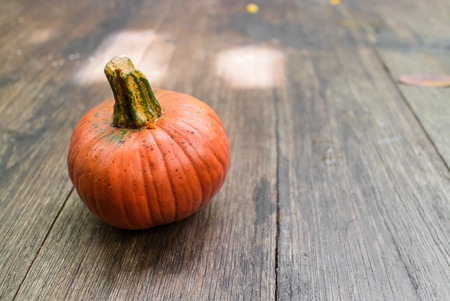 Small round orange pumpkin sitting on simple wooden plate with copy space. Decoration for Halloween festivalの写真素材