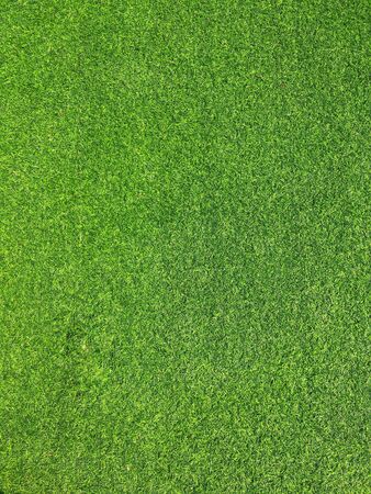 Artificial grass background texture. fresh spring green grass.の写真素材