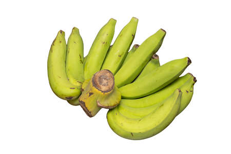 The green raw cavendish banana isolated on white background. Healthy food concept. Carbohydrate fruit.の写真素材