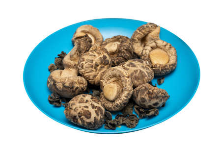 Dried Shiitake Mushroom on blue plate. Isolated on white backgroundの写真素材