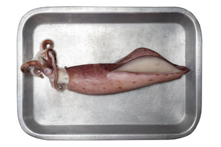 Top view of boiled whole squids on metal plate. Sea food concept
