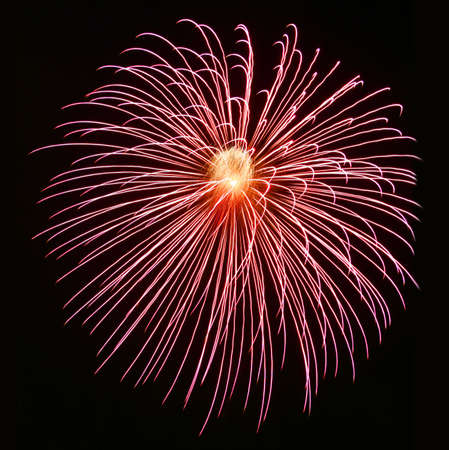 Exposion of red firework in the night sky