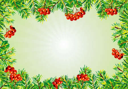 Christmas frame with berry and evergreenのイラスト素材