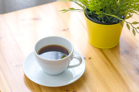 Close up of A cup of coffee and a pot of plants on a wooden table by the window. Relax concept. Casual concept.の写真素材