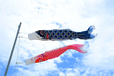 Koi fish flagの写真素材