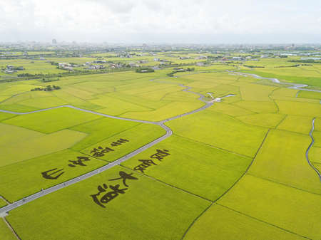 Aerial view of the Paddy Art in Brown Boulevard, DonShan, YiLan, Taiwan. The words on the ground means "Happyness in DonShan, Greatfood Boulevard".の写真素材