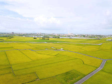 Aerial view of the green and yellow rice field, grew in different pattern, soon to be harvested. YiLan, Taiwanの写真素材