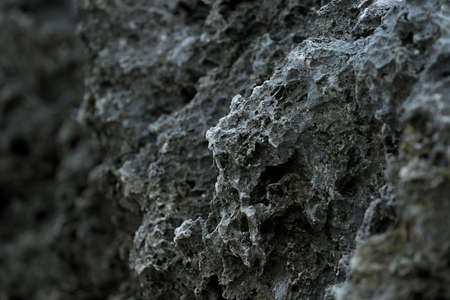 Coral reef and rock patternの写真素材