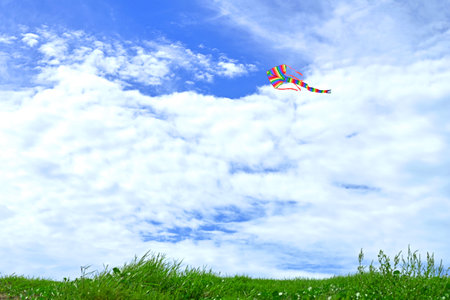 Rainbow kite flying in blue sky, with green grass field foreground.の写真素材