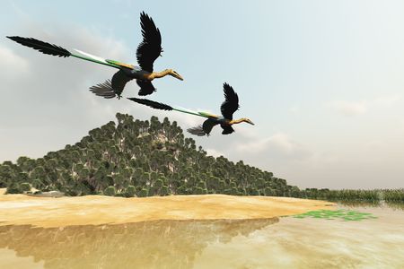 PREHISTORIC MARSH - Two Microraptor dinosaurs fly over a wetland marsh in prehistoric times.の写真素材